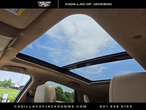 Used 2023 Cadillac XT5 Premium Luxury w/ Platinum Package AWD/4WD image 5