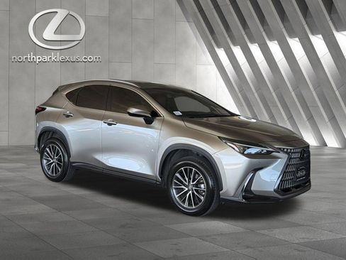 Certified 2025 Lexus NX 250 FWD w/ Cold Area Package image 5