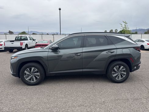 Used 2024 Hyundai Tucson Blue image 2