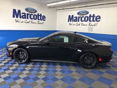 New 2025 Ford Mustang Premium w/ Mustang Nite Pony Package