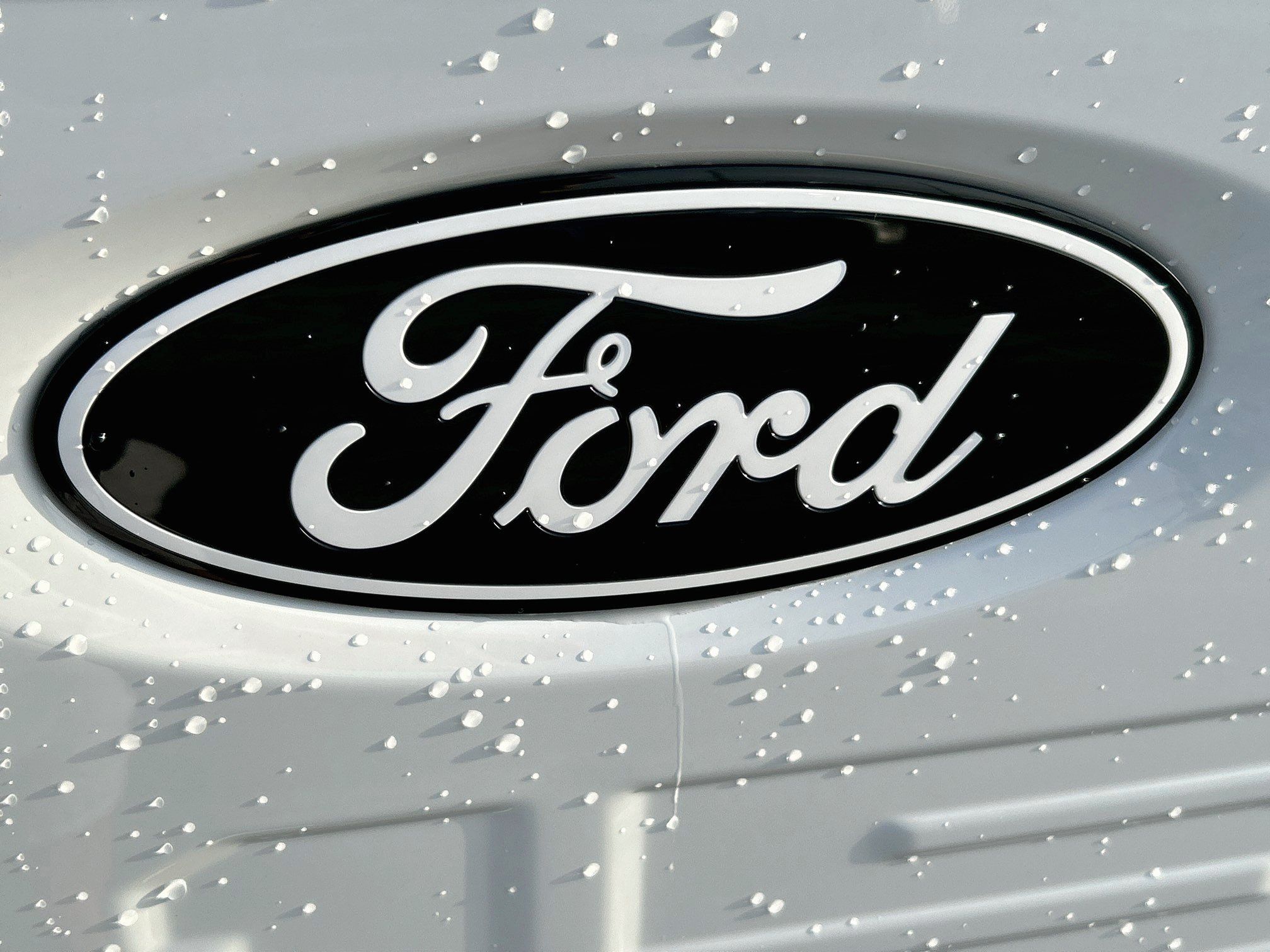 New 2026 Ford F150 XLT w/ Equipment Group 302A MID AWD/4WD image 19