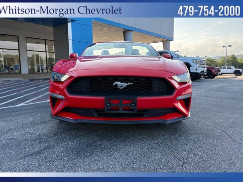 Used 2022 Ford Mustang Premium image 2