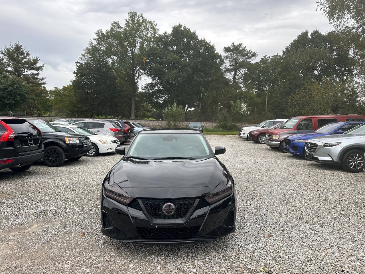 Used 2021 Nissan Maxima 3.5 SV w/ Floor Mat Group FWD image 2