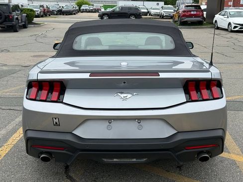Used 2024 Ford Mustang Premium RWD image 5