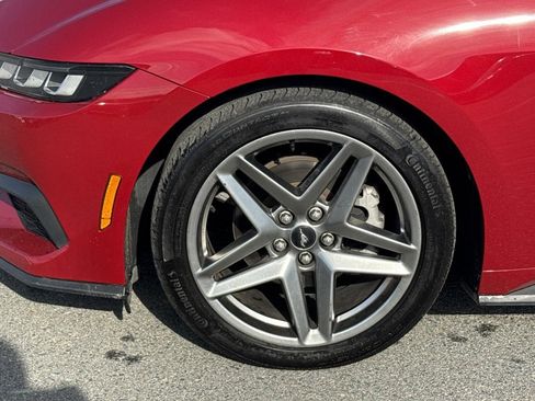 Used 2024 Ford Mustang EcoBoost image 10