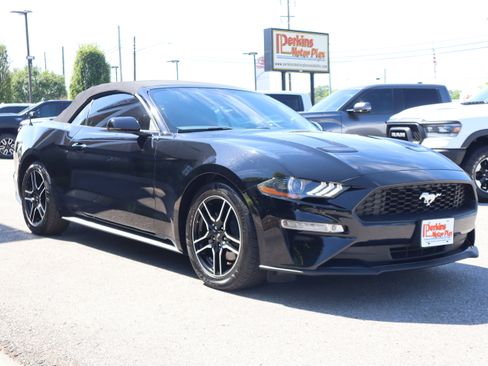 Used 2018 Ford Mustang Premium w/ Equipment Group 201A RWD image 4