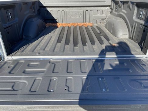 New 2025 Ford F150 STX w/ Equipment Group 200A image 19