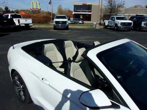 Used 2017 Ford Mustang Premium image 15