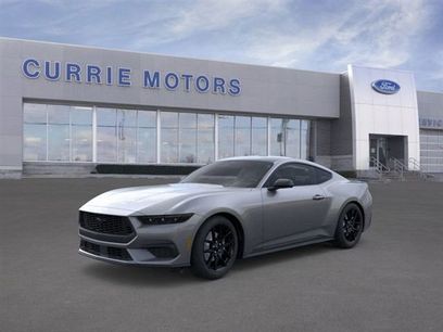 New 2026 Ford Mustang Coupe w/ Mustang Nite Pony Package