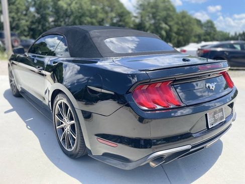 Used 2019 Ford Mustang Premium w/ Equipment Group 201A RWD image 5