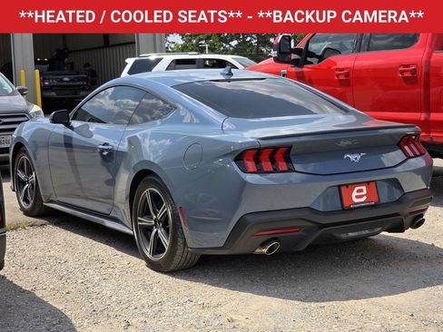Used 2024 Ford Mustang Premium RWD image 5