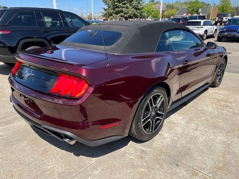 Used 2018 Ford Mustang Premium w/ Equipment Group 201A RWD image 6