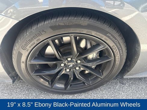 Used 2024 Ford Mustang GT Premium w/ Mustang Nite Pony Package RWD image 7