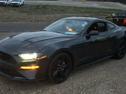 Used 2023 Ford Mustang EcoBoost w/ Equipment Group 101A image 2