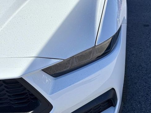 New 2026 Ford Mustang Coupe w/ Mustang Nite Pony Package image 9