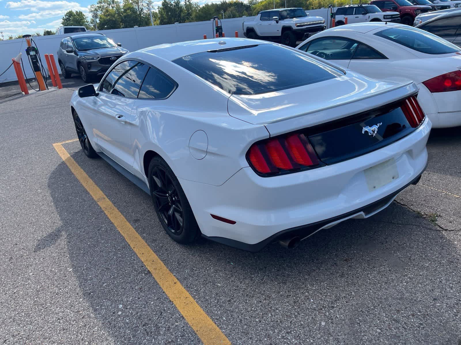 Used 2015 Ford Mustang Premium RWD image 12