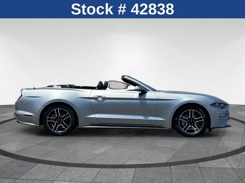 Certified 2023 Ford Mustang Premium RWD image 4