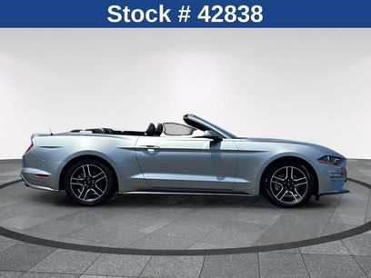 Certified 2023 Ford Mustang Premium
