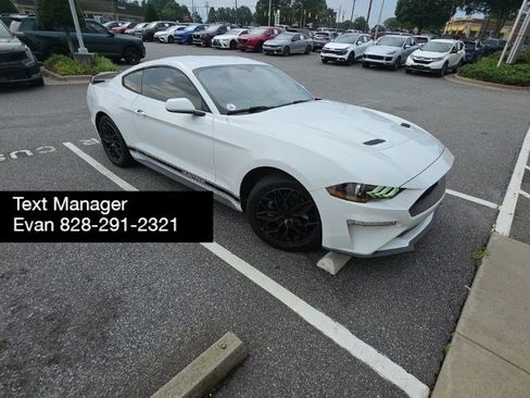 Used 2019 Ford Mustang Coupe w/ Equipment Group 101A RWD image 1