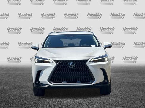 Certified 2025 Lexus NX 350h AWD w/ Cold Area Package image 10