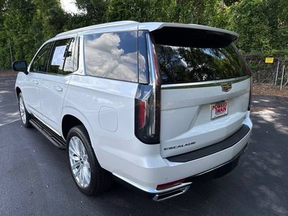 Used 2024 Cadillac Escalade Luxury