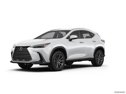 New 2026 Lexus NX 350 AWD w/ Cold Area Package