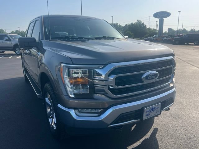 Used 2023 Ford F150 XLT w/ Equipment Group 302A High AWD/4WD image 1