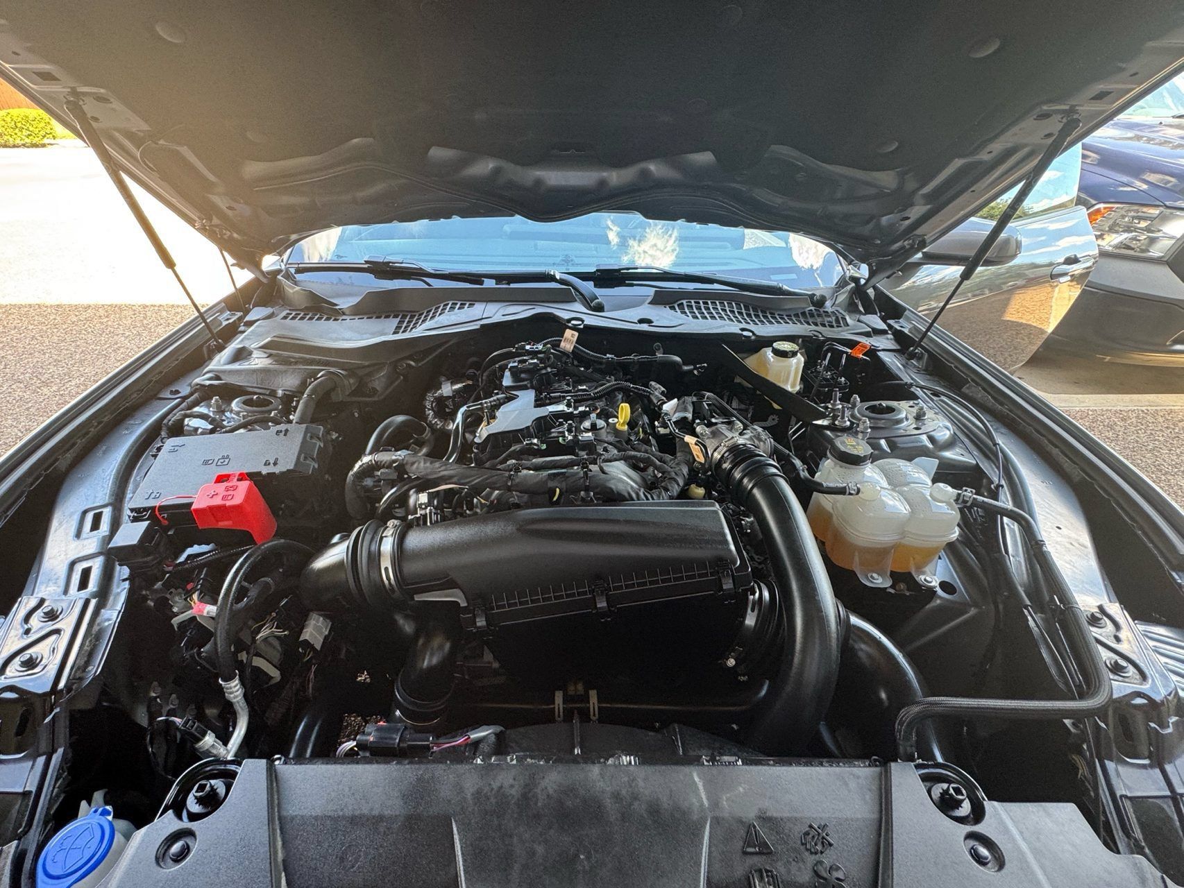 Used 2025 Ford Mustang Premium RWD image 24
