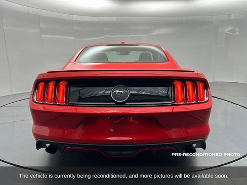 Used 2015 Ford Mustang Premium w/ 50 Years Appearance Package image 4