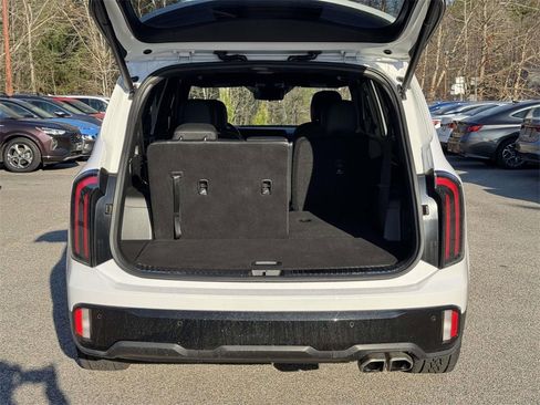 Used 2024 Kia Telluride SX Prestige X-Pro image 15