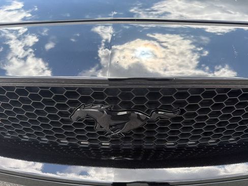 Used 2021 Ford Mustang GT Premium w/ Equipment Group 401A RWD image 9