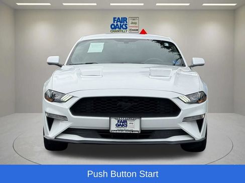 Used 2019 Ford Mustang Coupe w/ Equipment Group 101A RWD image 5