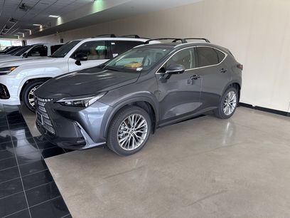 Certified 2025 Lexus NX 350 AWD w/ Premium Package