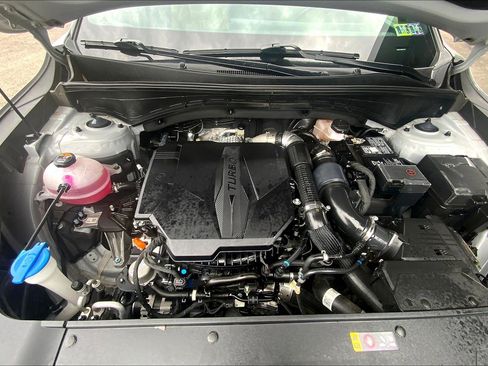 Used 2024 Kia Sorento SX Prestige w/ Olive Brown Leather Package image 11