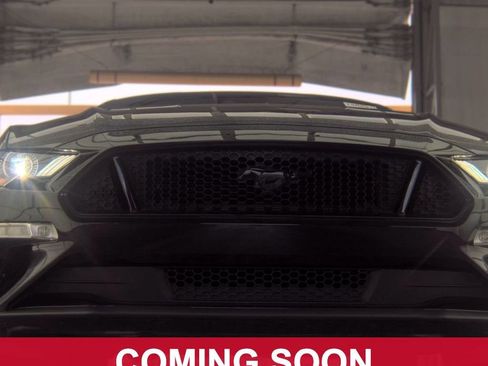 Used 2021 Ford Mustang GT w/ Equipment Group 301A RWD image 2