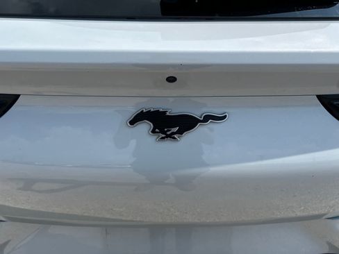 Used 2021 Ford Mustang Mach-E Premium AWD/4WD image 8