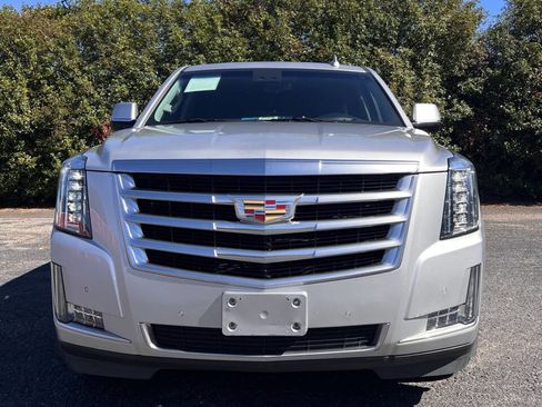 Used 2019 Cadillac Escalade Luxury image 11