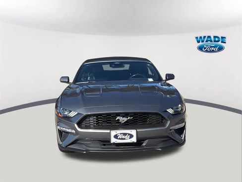 Used 2023 Ford Mustang Premium w/ Equipment Group 201A image 2