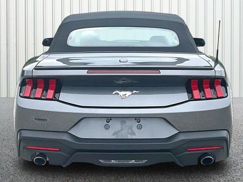 Used 2025 Ford Mustang Premium RWD image 4