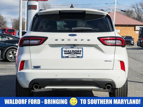 Used 2024 Ford Escape ST-Line Elite image 5
