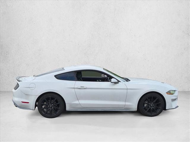 Used 2019 Ford Mustang Coupe RWD image 4