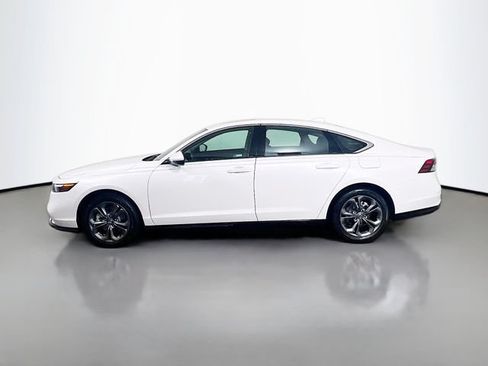 Used 2025 Honda Accord EX-L image 6