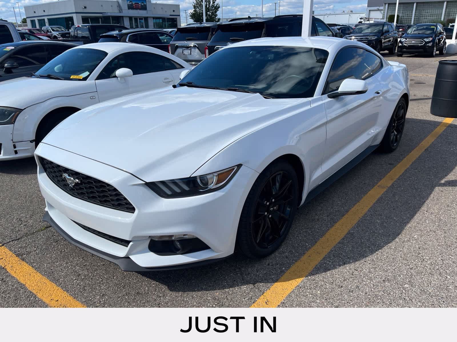 Used 2015 Ford Mustang Premium RWD image 1