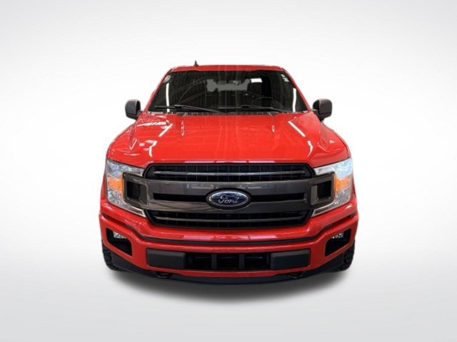 Used 2019 Ford F150 XLT w/ Equipment Group 302A Luxury AWD/4WD image 2