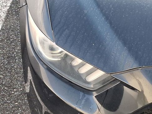 Used 2017 Ford Mustang GT w/ Black Accent Package image 4