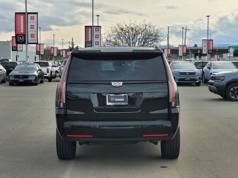 Used 2019 Cadillac Escalade Luxury image 5