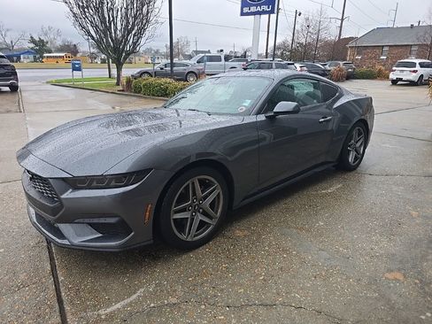 Used 2025 Ford Mustang Premium image 5