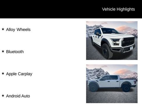 Used 2020 Ford F150 Raptor image 25