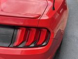 Used 2019 Ford Mustang Premium image 6