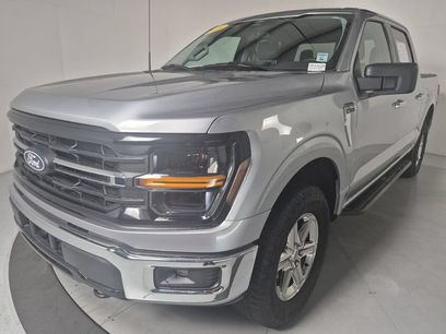 Used 2025 Ford F150 XLT w/ Equipment Group 301A Standard